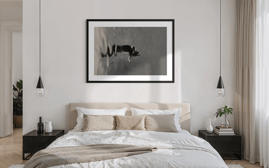 Breaking Through | Framed Limited Edition, Black and White Photography, Underwater Portrait